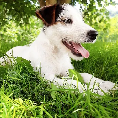 Antica Corte Alloggio per agriturismo