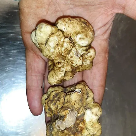 Antica Corte * Montatteglia