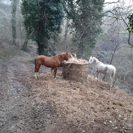 Antica Corte