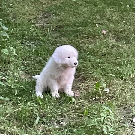 Alloggio per agriturismo Antica Corte