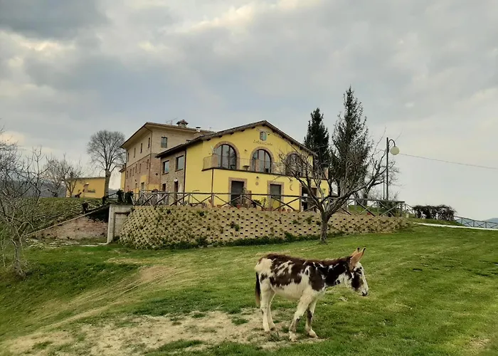 Farm stay Antica Corte Montatteglia